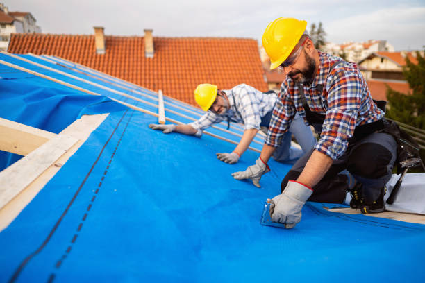 Gutter Replacement in Mount Pleasant, SC